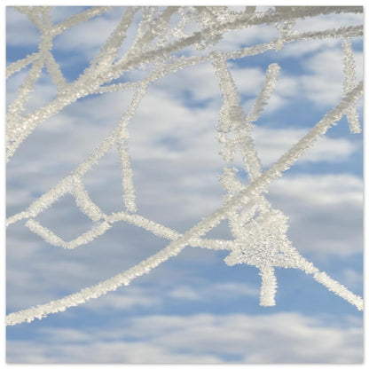 db127918-6abb-493e-9bf7-f6651ee19b9a