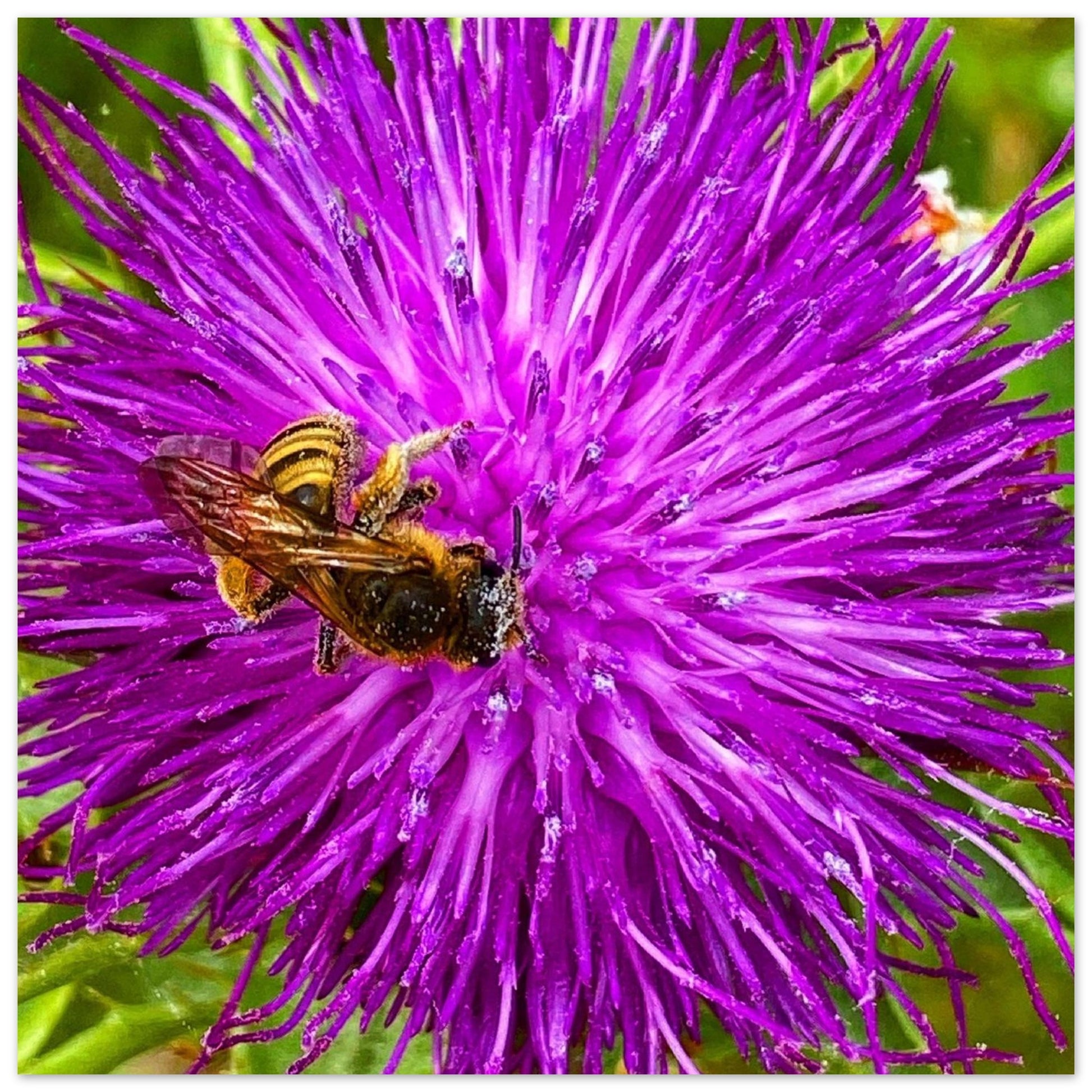 dbdd70a8-203a-4cb8-8634-f79069f9fbb9