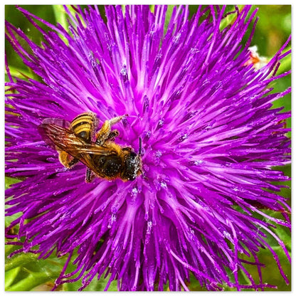 dbdd70a8-203a-4cb8-8634-f79069f9fbb9