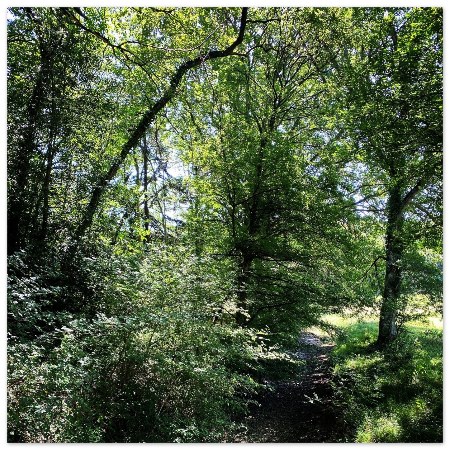 df835431-5902-489b-8e04-5e4fc3a93d2b