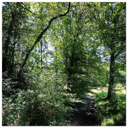 df835431-5902-489b-8e04-5e4fc3a93d2b