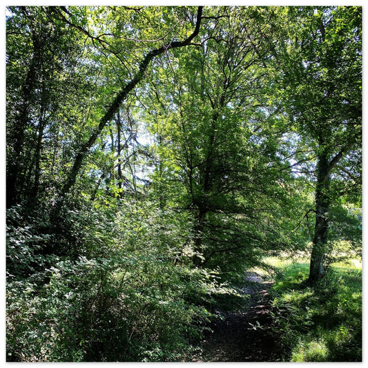 df835431-5902-489b-8e04-5e4fc3a93d2b