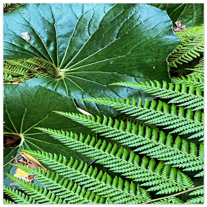 e107dc4a-c238-4c15-9c11-8dc3281c00d6