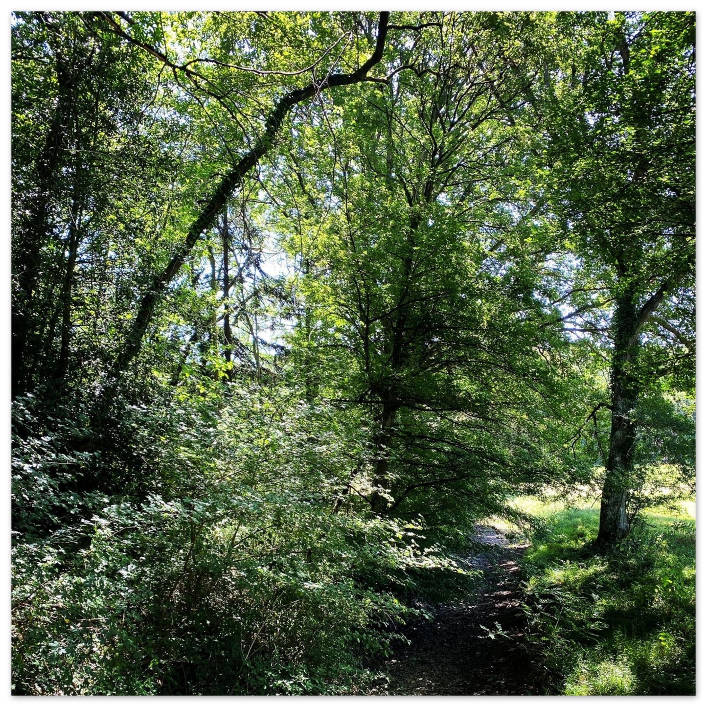 e1e3cf4a-53d5-437d-819b-41c6da1978b6