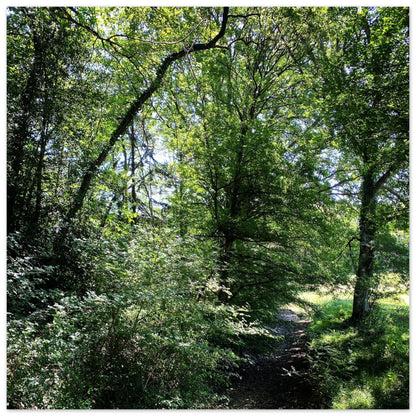 e1e3cf4a-53d5-437d-819b-41c6da1978b6