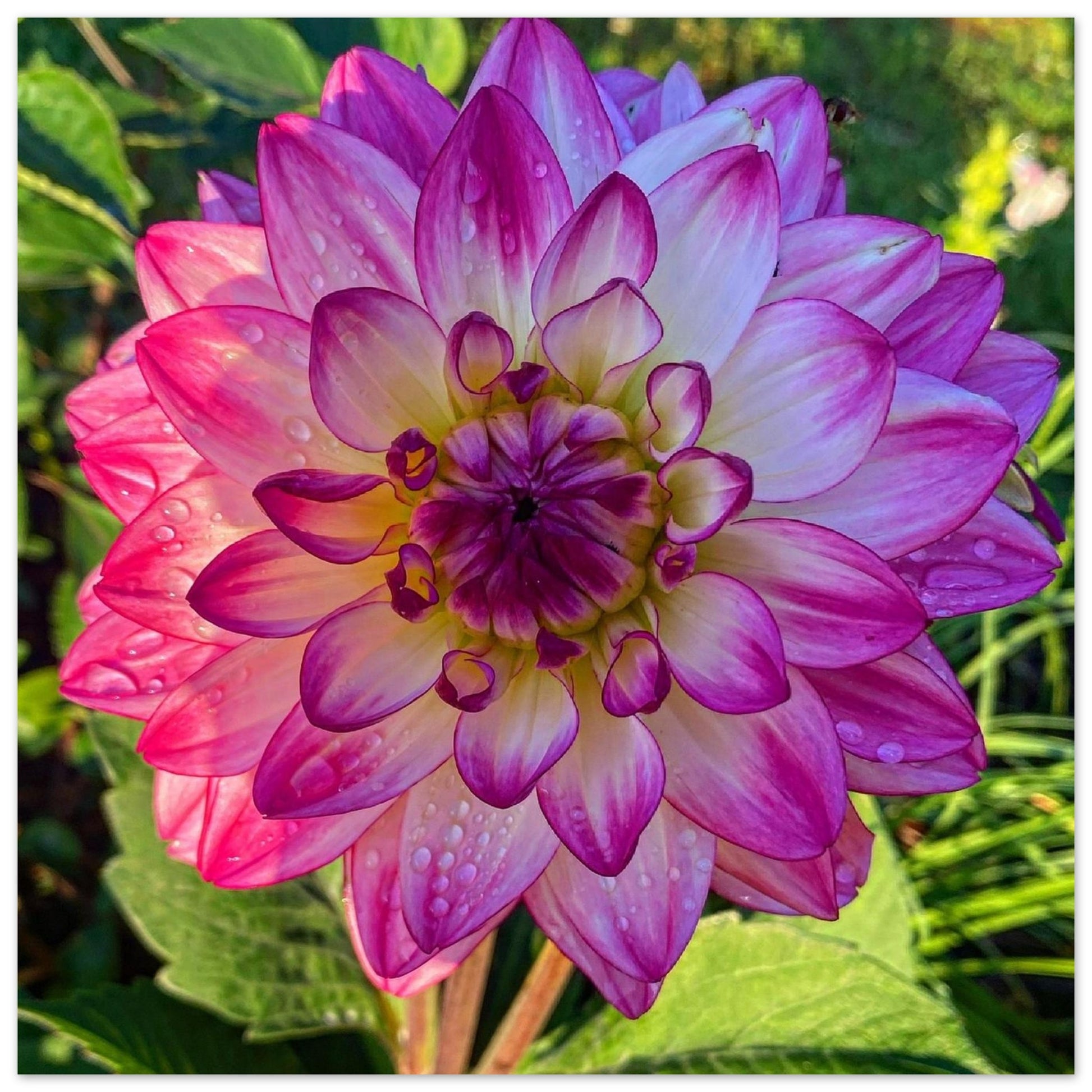 e683e997-1830-462e-ba69-d1651c8281fc