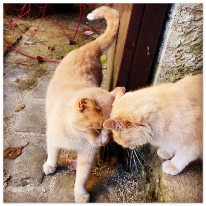 e6faa07e-c0f8-4714-884a-6d5c34220cbc