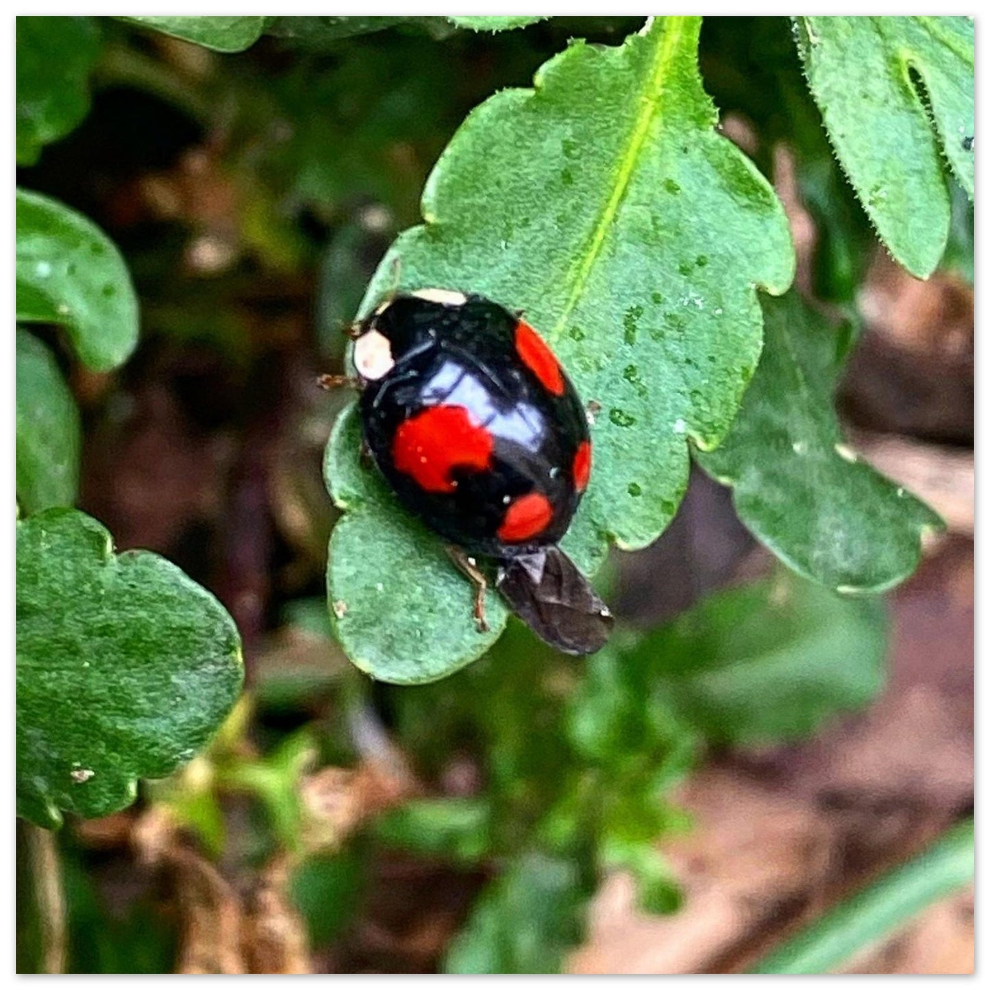 e7a9e3c0-1cdf-4c2e-9bc6-1bbb22713e95