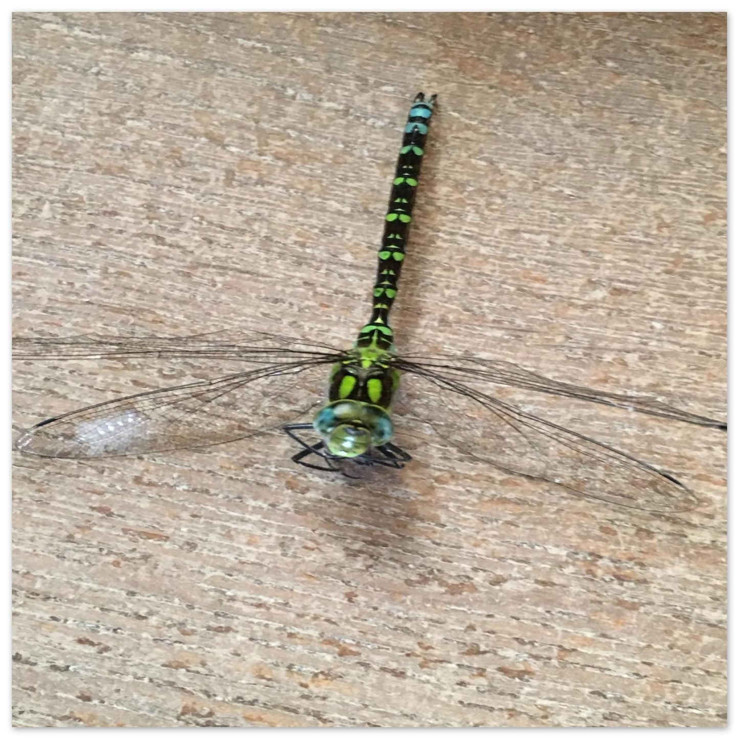 e94d0d04-2200-4b88-8bb2-99b1c1a9e588