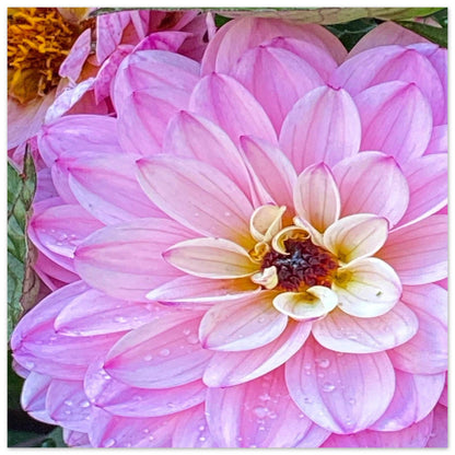 ec0370e4-bcdd-4799-9994-84eae0b85cda